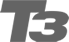 T3